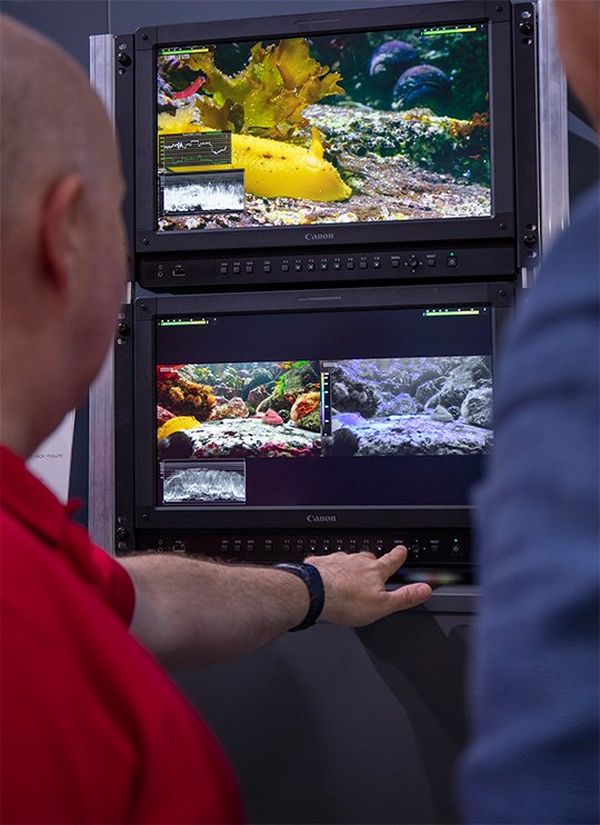 People looking at colour grading on 4K displays at IBC.