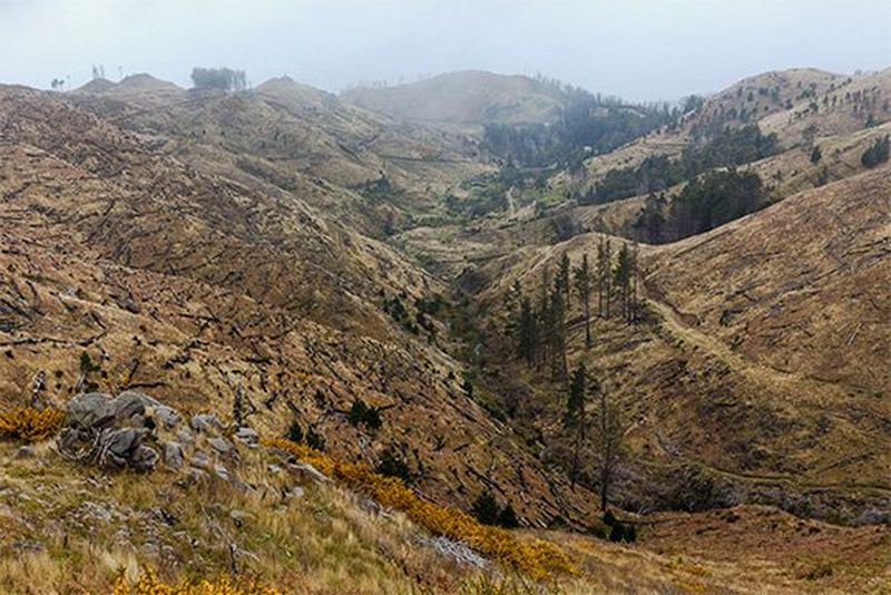 A landscape shows a green mountainside in Madeira. Photo by Toby Smith on a Canon EOS 5DS R with a Canon EF 24-70mm f/2.8L II USM lens.