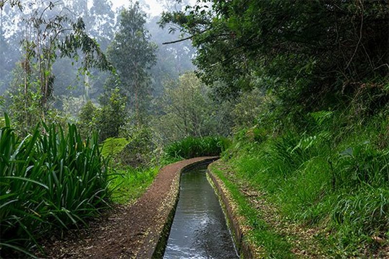 A narrow channel of water flows through a lush green landscape. Photo by Toby Smith on a Canon EOS 5D Mark IV with a Canon EF 24-70mm f/2.8L II USM lens.
