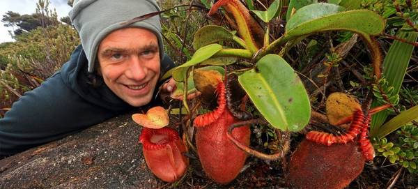 Photographer Christian Ziegler crouches low beside a red, carnivorous plant, smiling.