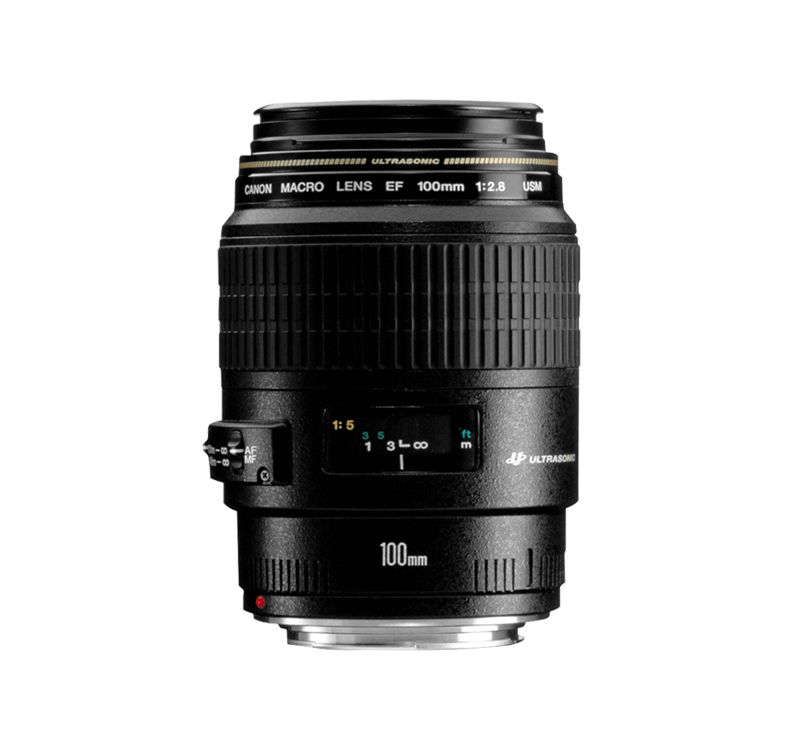 Canon EF 100mm f/2.8 Macro USM - Lenses - Camera & Photo lenses