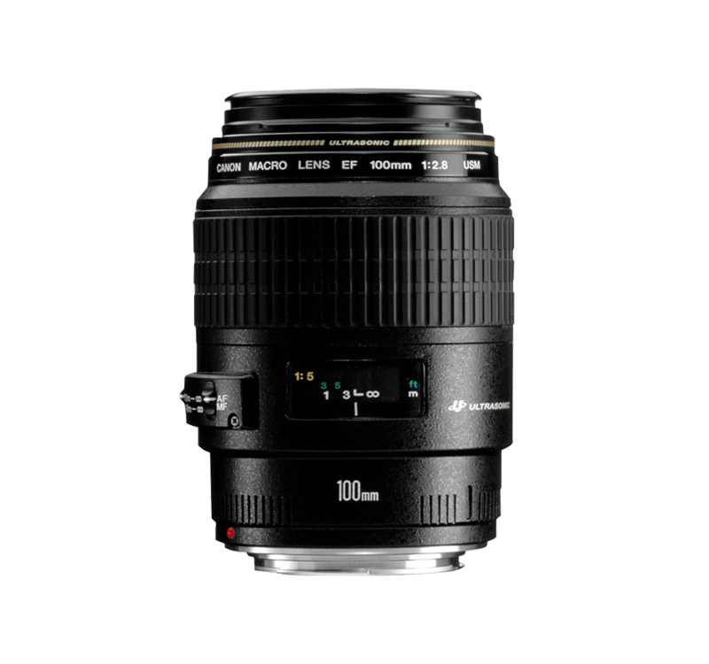 Canon EF 100mm f/2.8 Macro USM - Lenses - Camera & Photo lenses ...