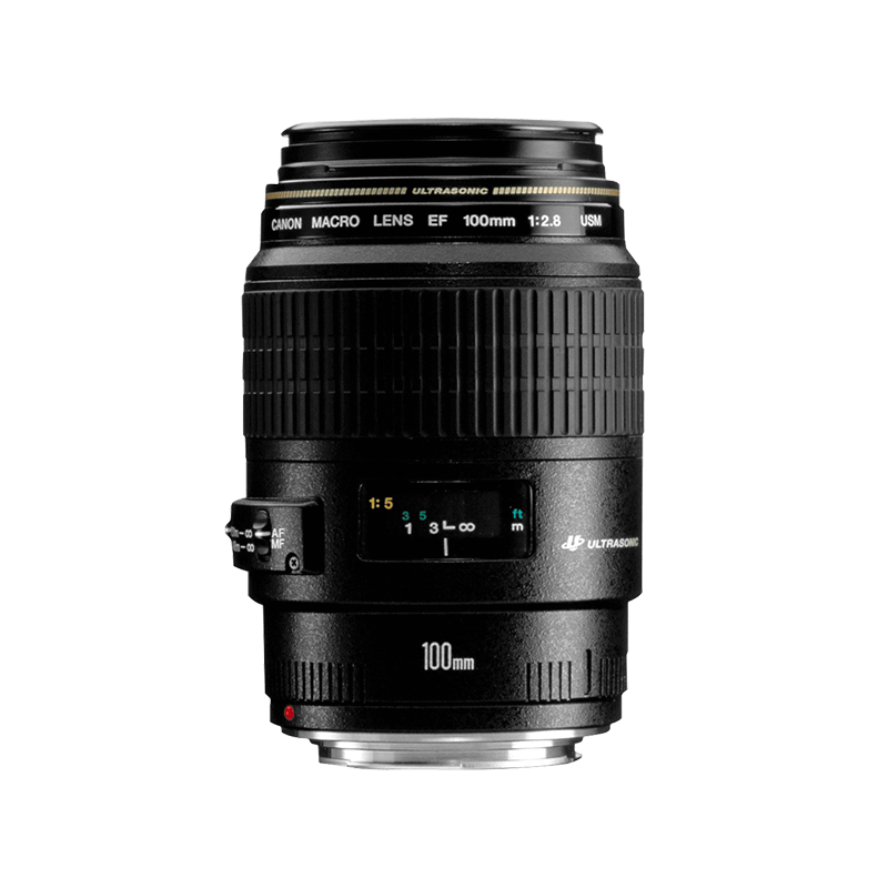 Canon EF 100mm f/2.8 Macro USM - Objektive – Kamera- & Foto 