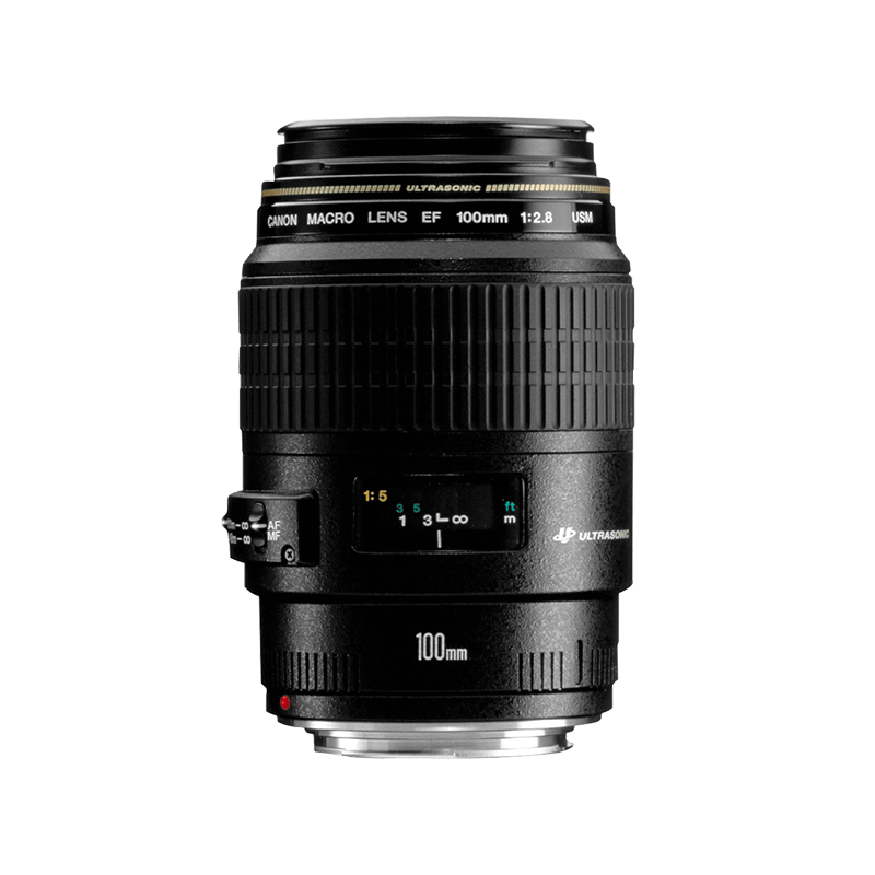 Canon EF 100mm f/2.8 Macro USM - Lenses - Camera u0026 Photo lenses - Canon  Georgia