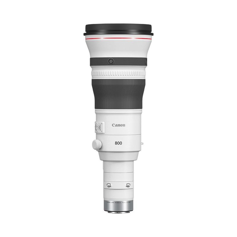 The Canon RF 800mm F5.6L IS USM lens.