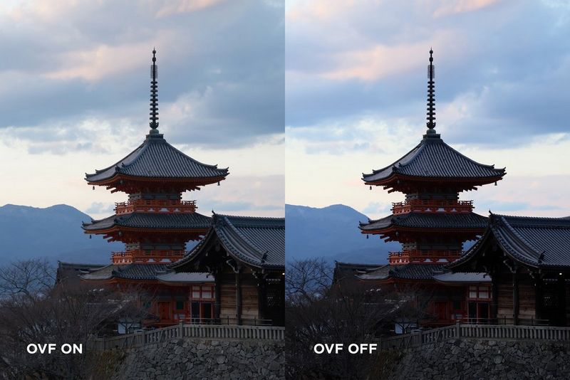 Canon EOS R10 - Сравнение помощи OVF