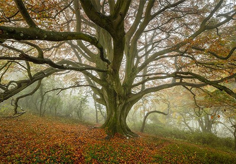 Travel photographer David Noton’s shot of the year