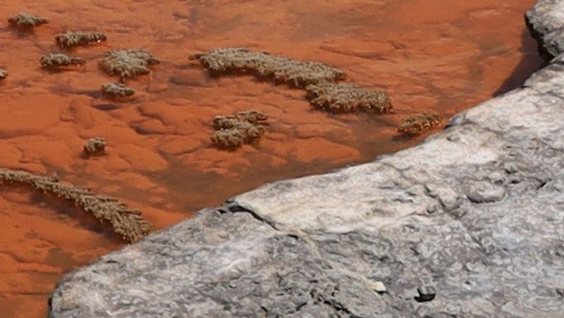 full view shot of Canon EOS RP with DLO on water