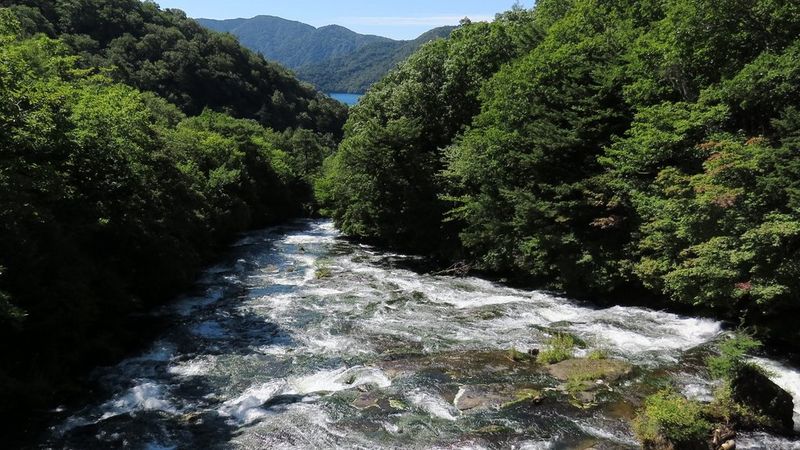 PowerShot SX70 HS