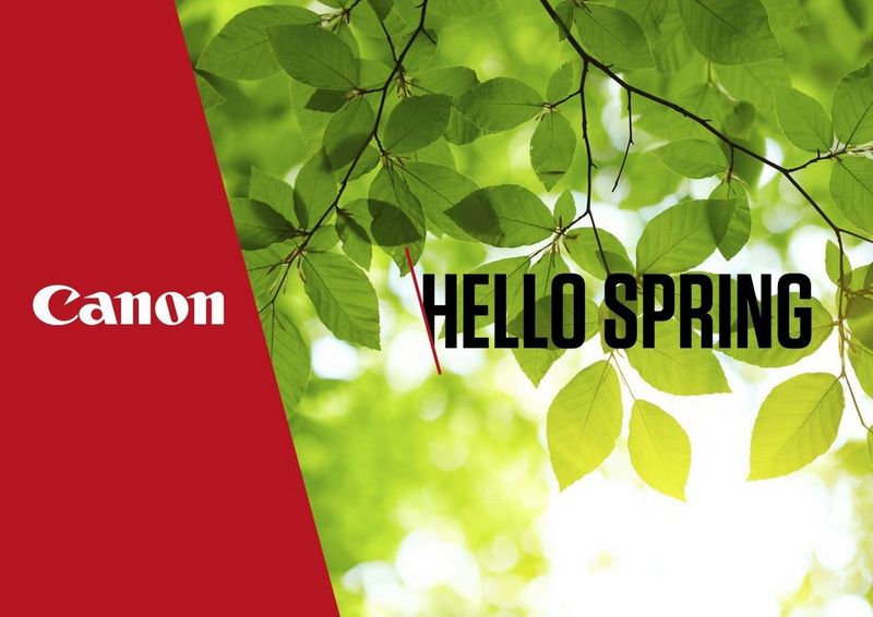 Cover voorjaarsfolder met tekst Hello Spring. Zon is zichtbaar door de takken
