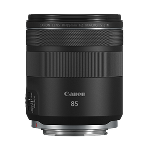 RF 85mm F2 MACRO IS STM