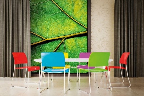 Five coloured chairs surround a table with a printed leaf on the wall behind