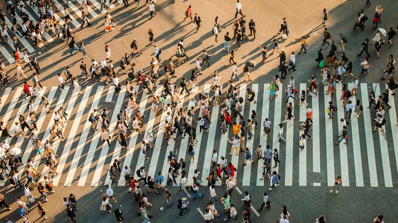 A large number of people walking across a zebra crossing, viewed from above.