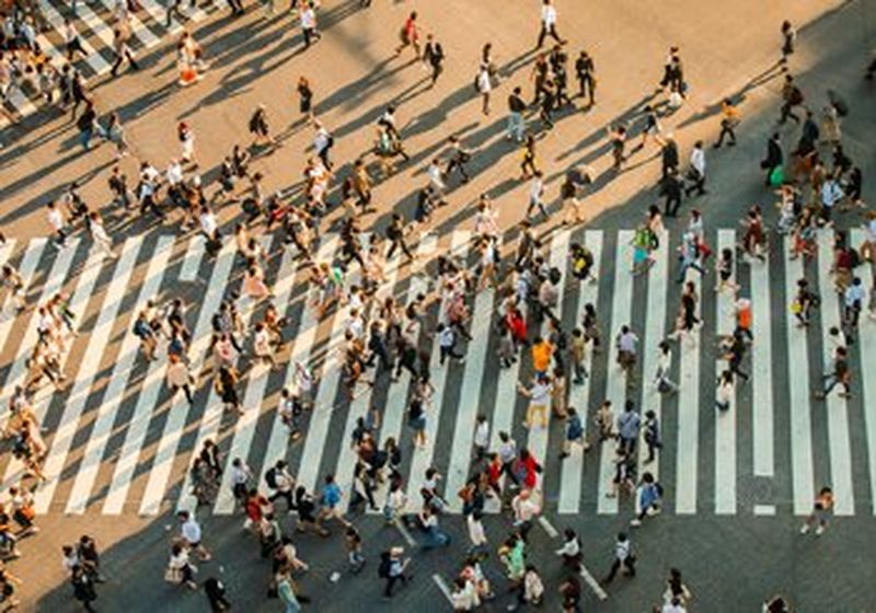 A large number of people walking across a zebra crossing, viewed from above.