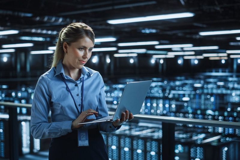 Work professional identifying security vulnerabilities
