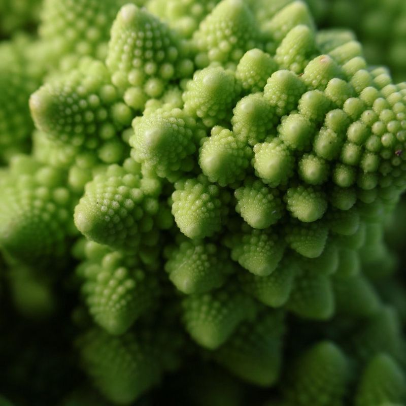 ecom-dep-page-cameras-entry-everyday-food-v01-800-cs