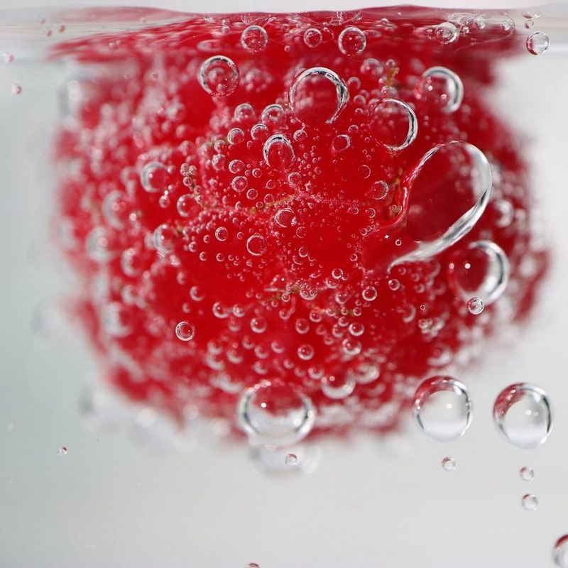 ecom-dep-page-cameras-pro-food-banner-v01-800-cs