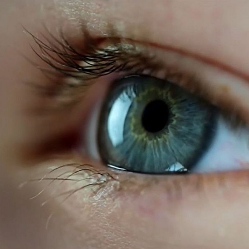 ecom-dep-page-lenses-pro-detail-banner-800-c