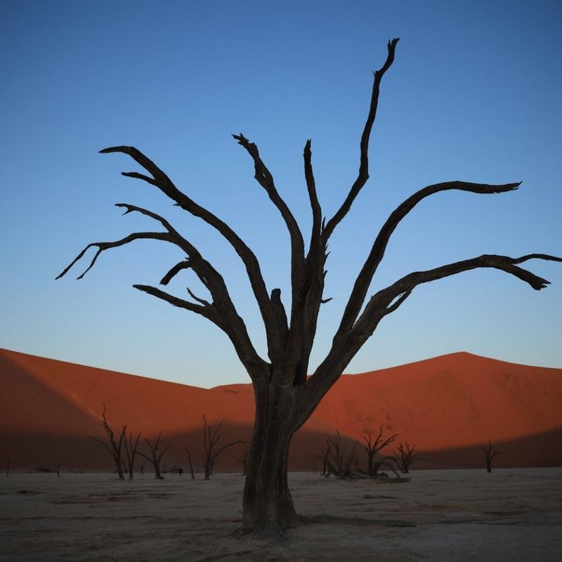 ecom-dep-page-lenses-pro-landscape-banner-800-cs