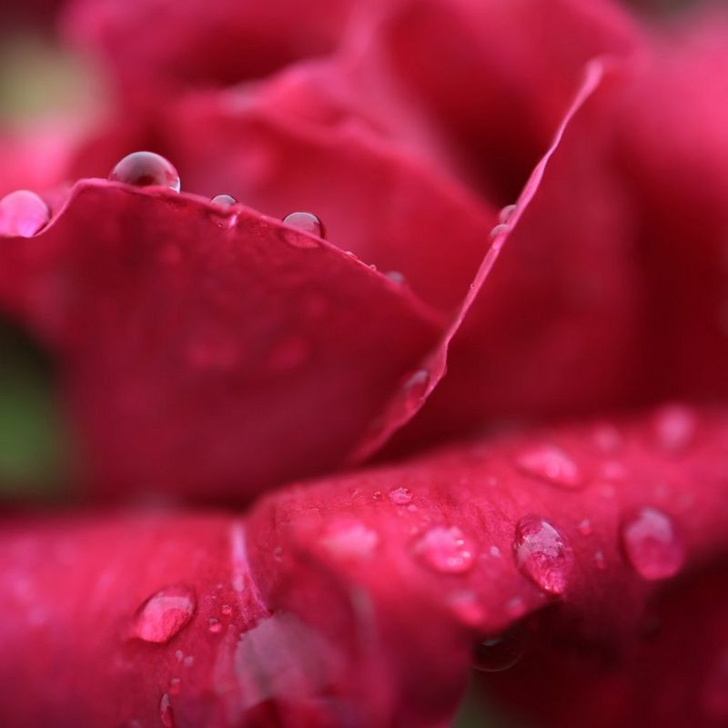 ecom_Best_Cameras_for_Beginners_benefit_1_v1