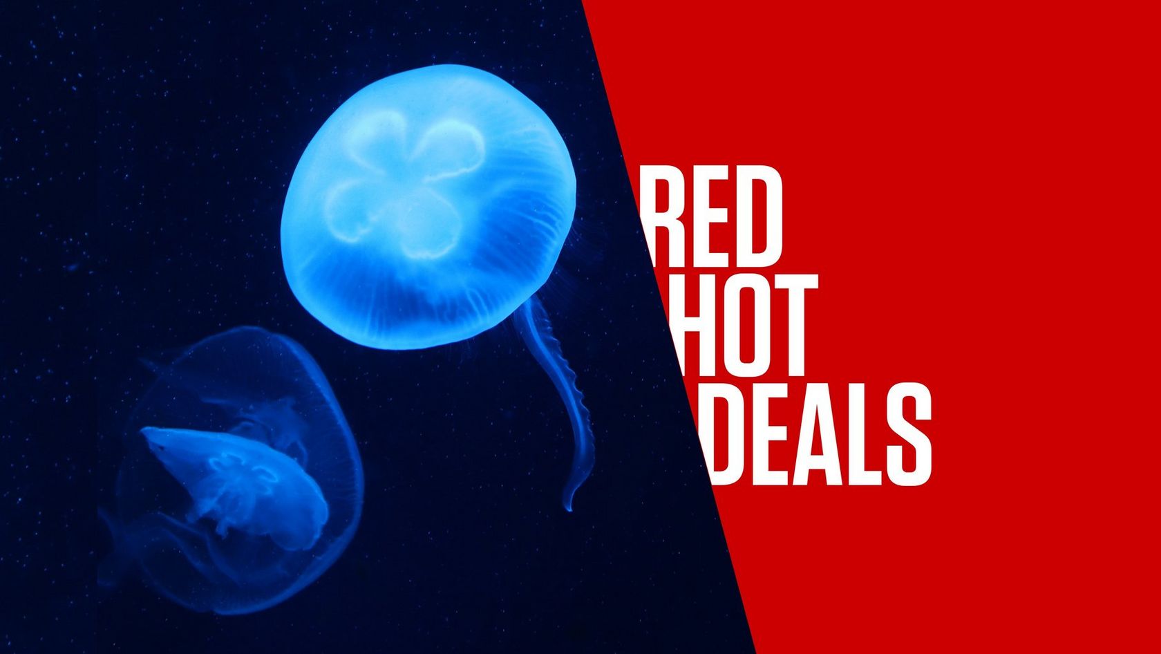 ecom_BlackFriday2024_Jelly_ATG_Desktop_an