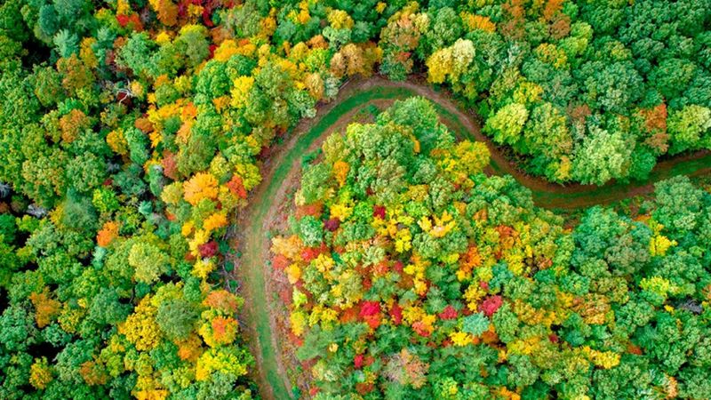 ecom_Cartridge_Recycling_Top_Banner_Jan24_16x9_an