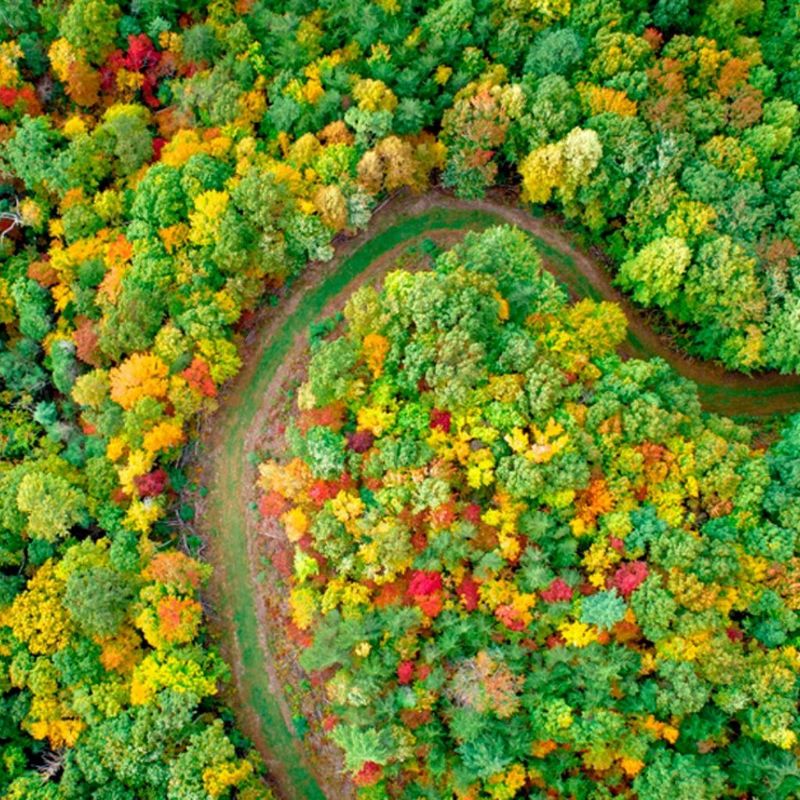 ecom_Cartridge_Recycling_Top_Banner_Jan24_1x1_an