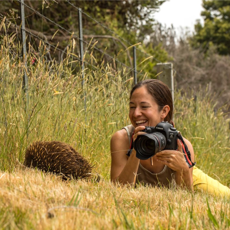 ecom_Christmas-Professionals_Oct19_800_v1_rb