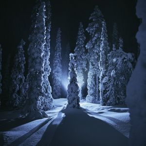 Imagen de Links-Christmas 2024- EC-31537-ALL