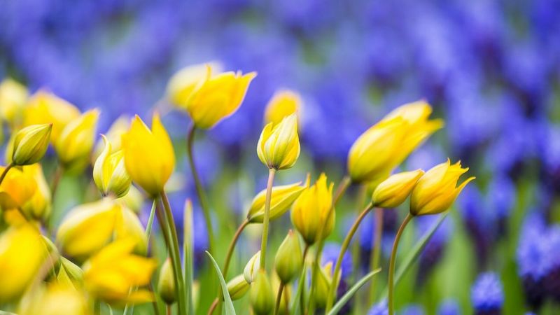 ecom_Easter_Instant_Saves_Promo_16x9_Mar24_an