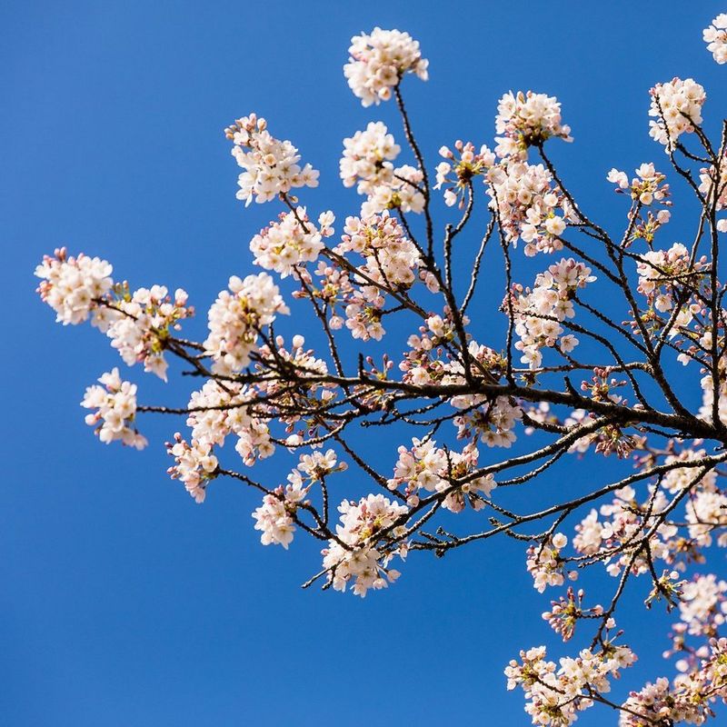 ecom_Easter_Savings_UKIE_Mar26_1x1_an