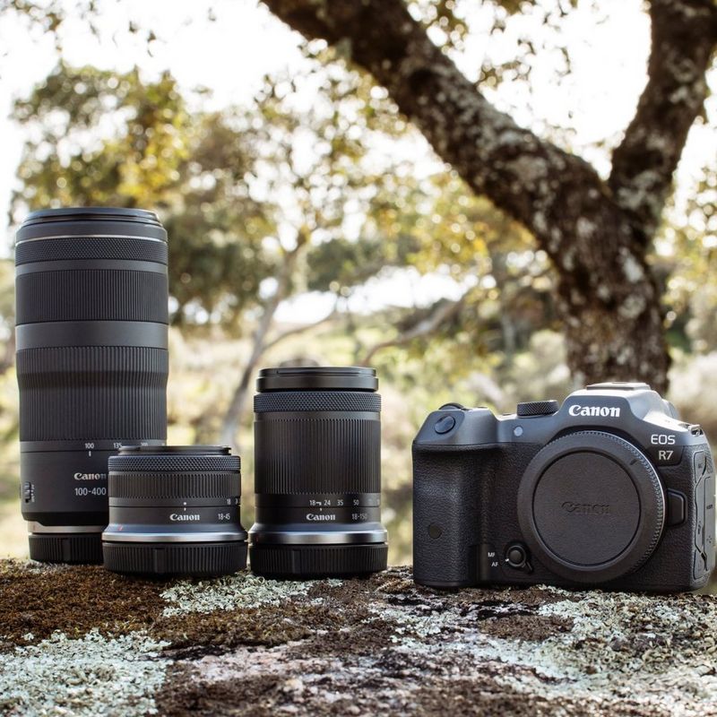 Kit d'appareil photo Canon EOS R7 avec trois objectifs, présenté en extérieur sur un rocher sous un arbre