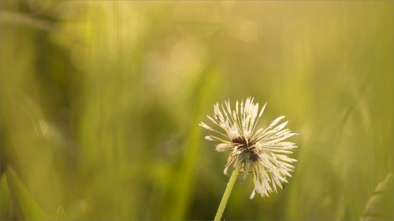 ecom_March-April-Savings-Promo_mar23_16-9_v1