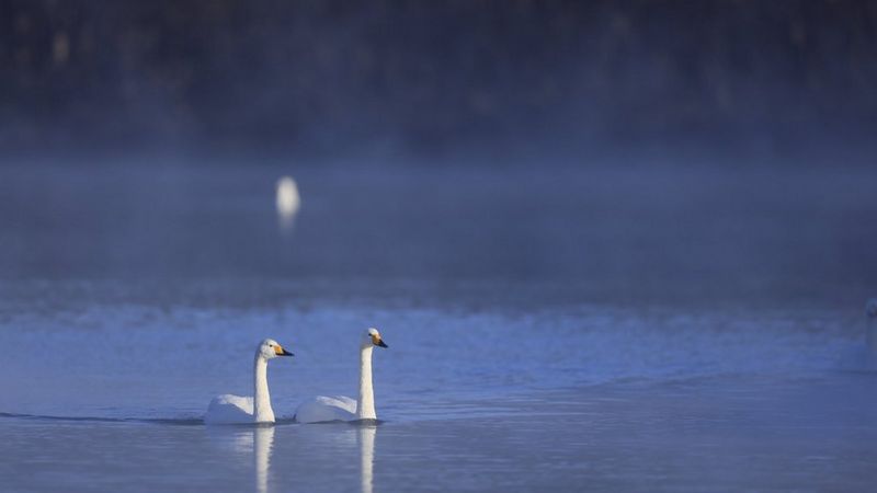 ecom_May-Bank-Holiday-RF-WBW_UK_IE_16-9_v1