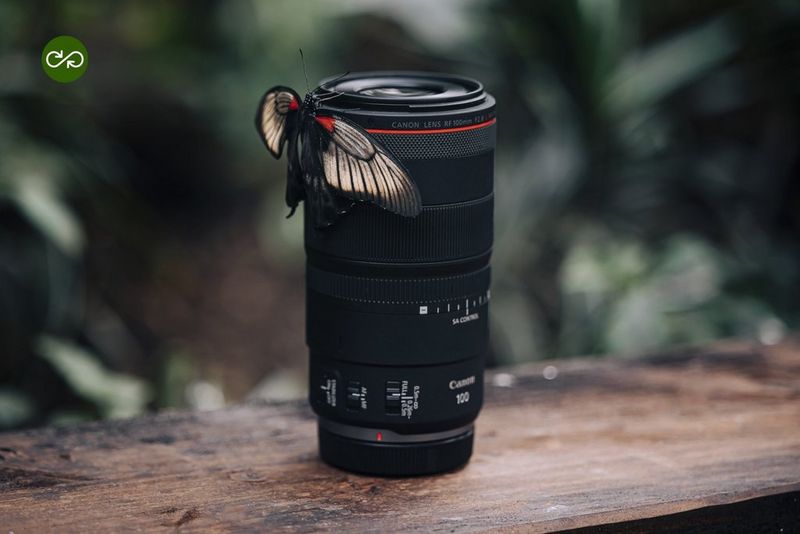 Borboleta pousada numa objetiva da câmara Canon sobre uma superfície de madeira