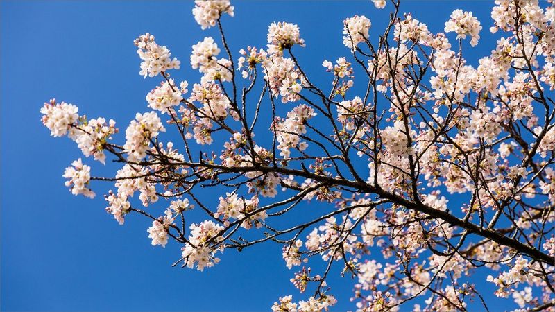 ecom_Spring-2023_UK_IE_mar23_16-9_v1