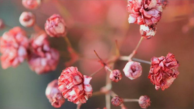 ecom_Spring-Promotion_PL_mar23_16-9_v1