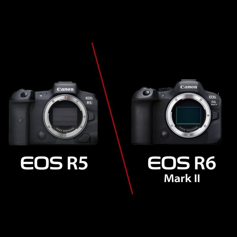 ecom_Top_Banner_Comparison_Guide_R5vR6MarkII_Dec23_1x1_an