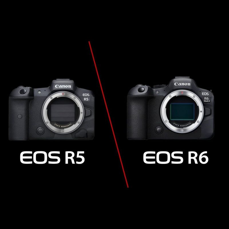 ecom_Top_Banner_Comparison_Guide_R5vR6_Dec23_1x1_an
