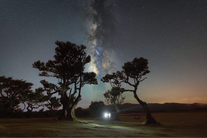 Person, die nachts auf einer Wiese steht und eine Laterne in der Hand hält, über ihr erstrahlt die Milchstraße.