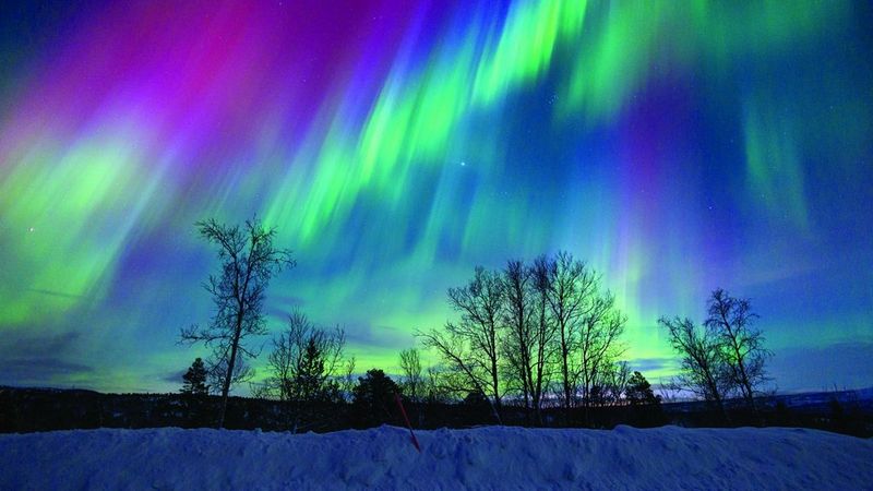 ecom_Winter_Cashback_BENL_Oct25_16x9_an