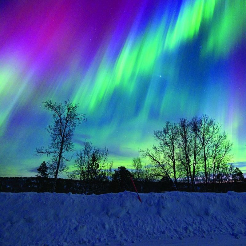 ecom_Winter_Cashback_BENL_Oct25_1x1_an