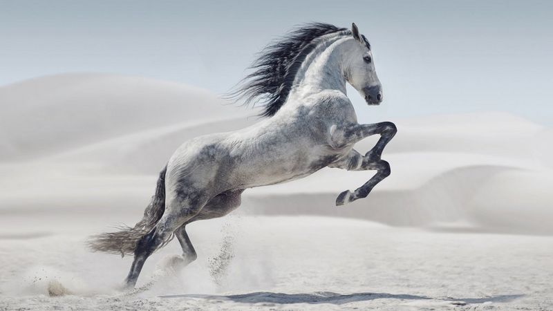 ecom_Winter_Cashback_PL_V2_Oct25_16x9_an