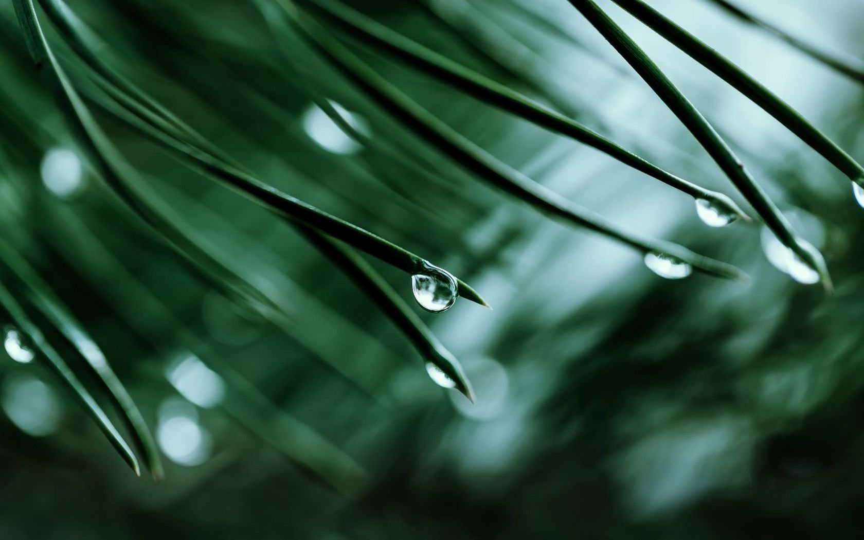 ecom_crg-download-label_image-1