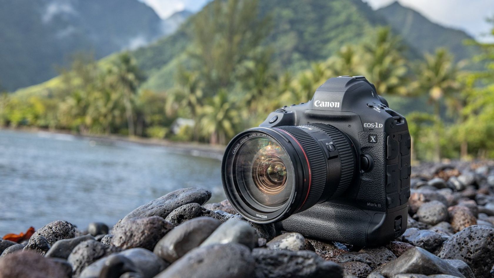 Las mejores cámaras DSLR para fotógrafos profesionales y