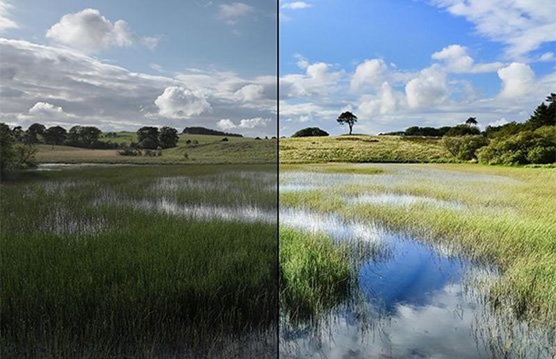 A before and after shot of a field of long grass, dark and unedited on the left, showing the lighter version on the left, edited in DPP.