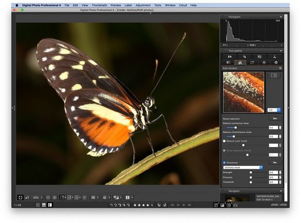 A close-up photo of a colourful butterfly on a leaf as shot in DPP.