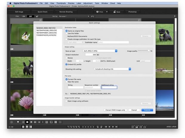 how to add border to picture in canon digital professional.