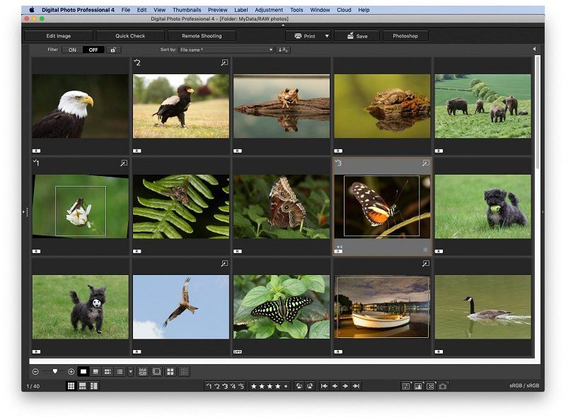 تحرير الصور بتنسيق RAW في برنامج DPP - الشرق الأوسط Canon