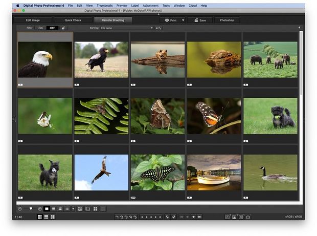 The main screen of Digital Photo Professional, with previews of 15 nature images.